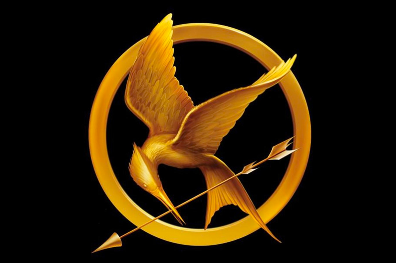 Illustration for article titled Went to see Catching Fire today.
